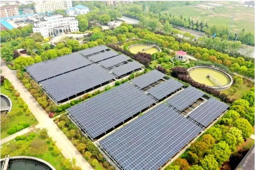 三峽集團(tuán)2022年首個(gè)長江大保護(hù)項(xiàng)目正式開工