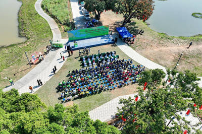 認(rèn)種3850棵!東莞青年為&ldquo;百千萬工程&rdquo;注入綠美力量