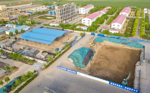 東風勁吹春潮涌 徐家河鄉(xiāng)外引內育抓項目促發(fā)展掠影